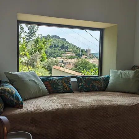 Homestay Casa Augusta *